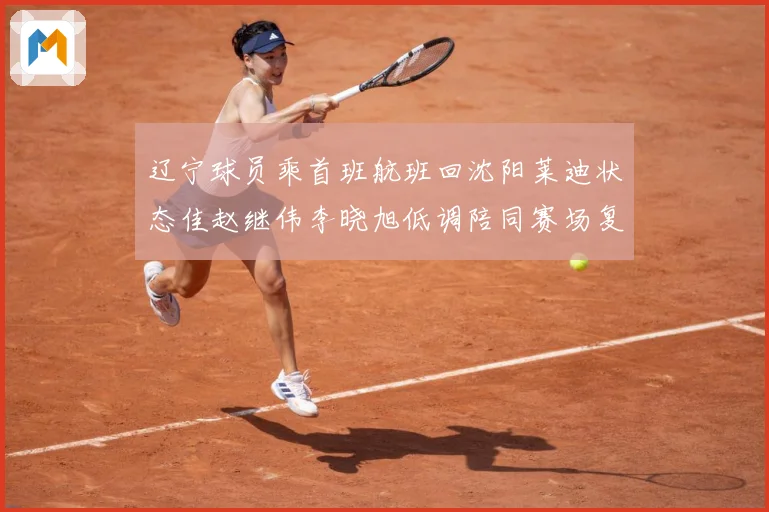 辽宁球员乘首班航班回沈阳莱迪状态佳赵继伟李晓旭低调陪同赛场复盘