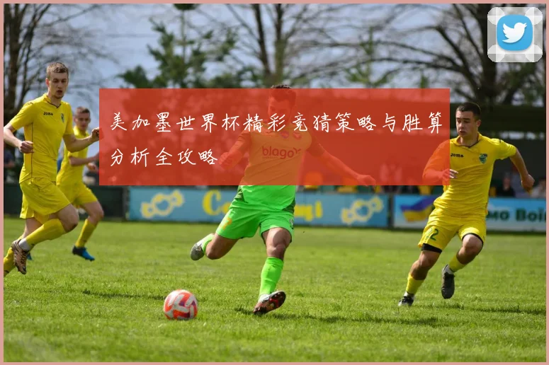 美加墨世界杯精彩竞猜策略与胜算分析全攻略