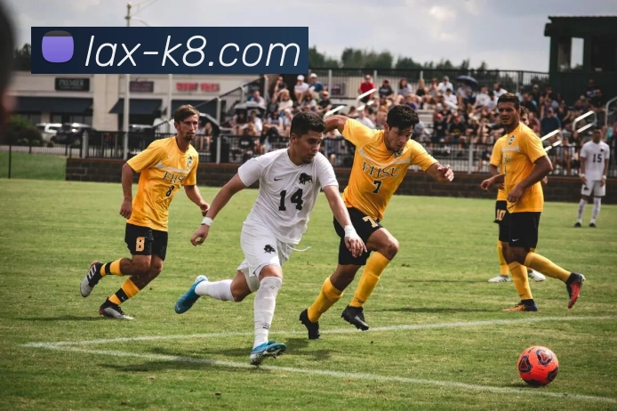 凯发娱乐平台展示图